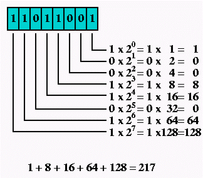 پرونده:11392600.jpg