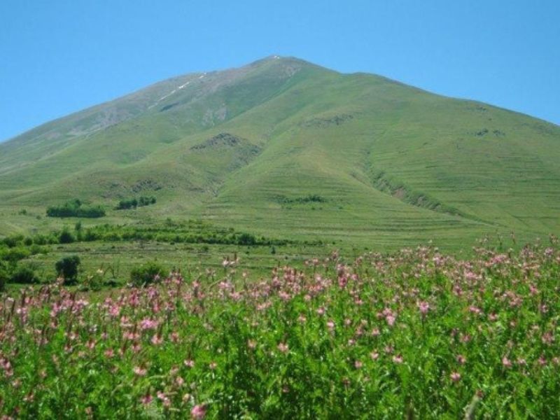 پرونده:2042191139-1.jpg
