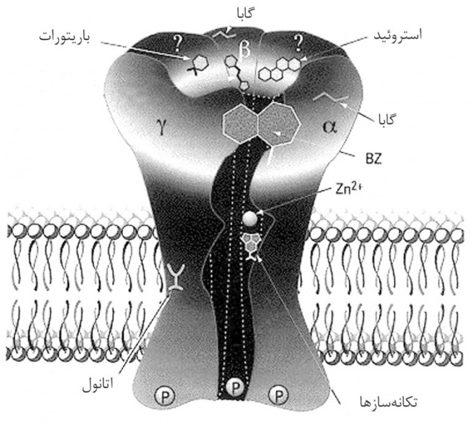 پرونده:36000300.jpg