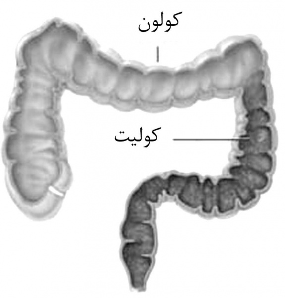 پرونده:35385700.jpg