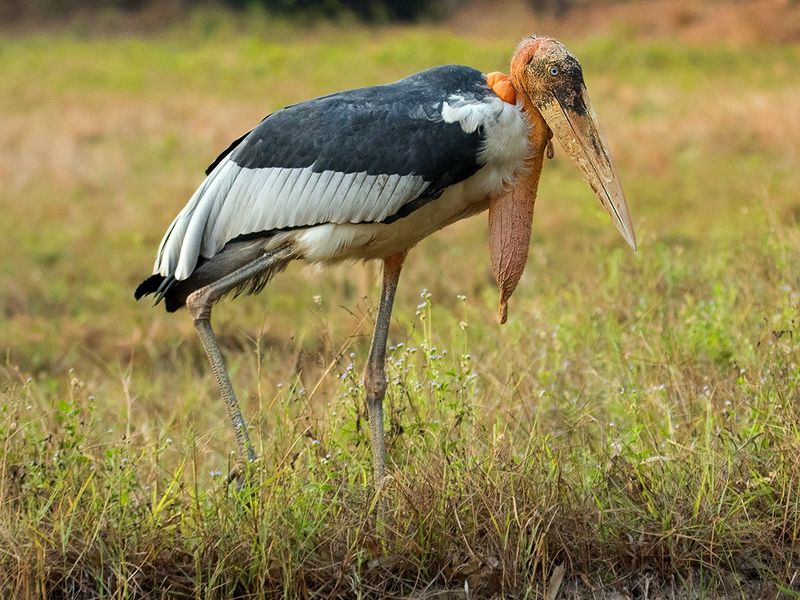 پرونده:2042157769.jpg