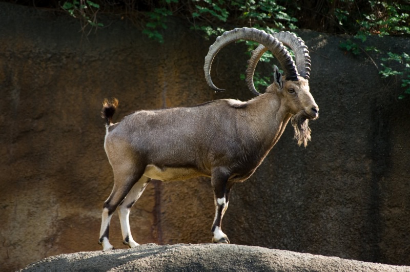 پرونده:12253700-1.jpg