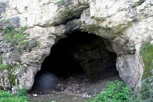 2042192376-2.jpg