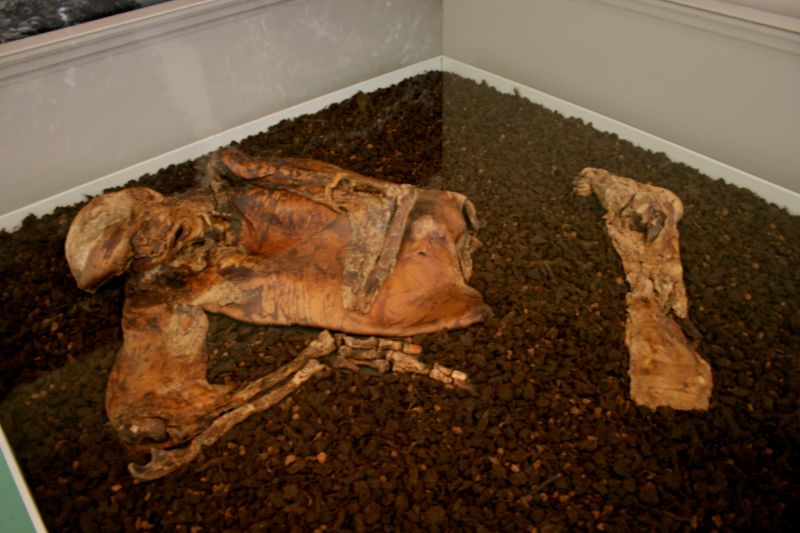 پرونده:11556900-2.jpg