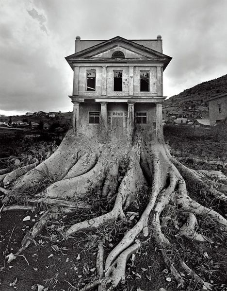 پرونده:2042157088-2.jpg