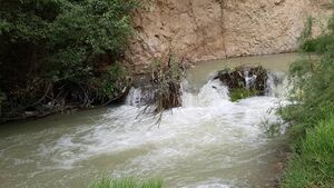 2042190888-2.jpg