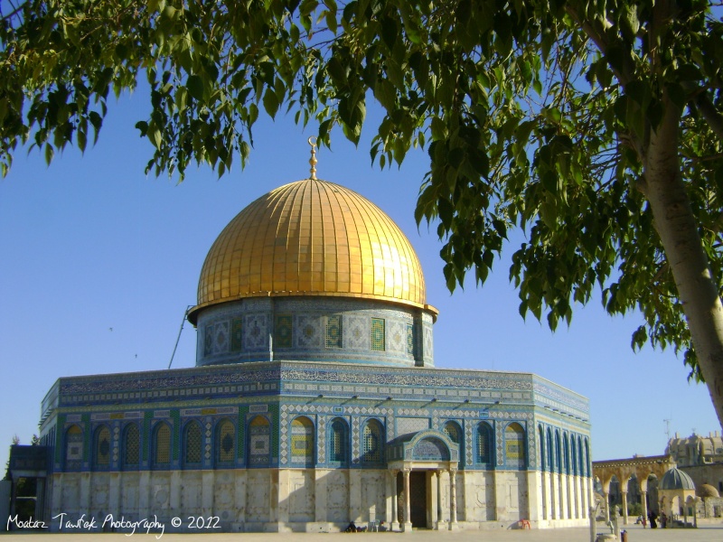 پرونده:34028900-1.jpg