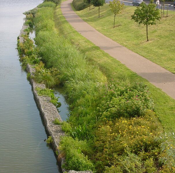 پرونده:Lagunage linéaire Lambersart 2004.jpg