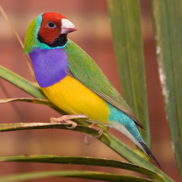 پرونده:25301300-4.jpg