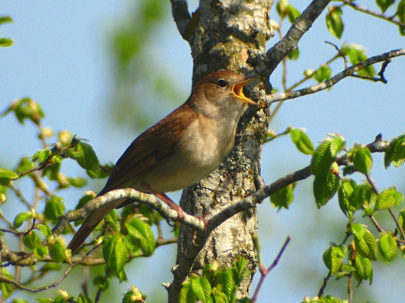 پرونده:12297800-1.jpg