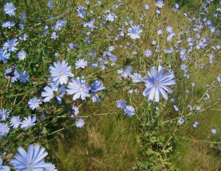 پرونده:35069900-4.jpg