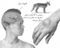 تصویر بندانگشتی از نسخهٔ مورخ ‏۲۱ مهٔ ۲۰۱۷، ساعت ۰۵:۴۶
