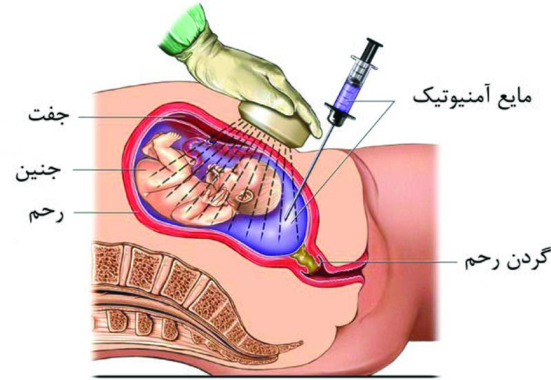 پرونده:10222700-2.jpg