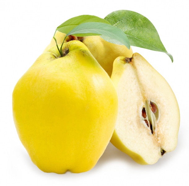 پرونده:12415900.jpg