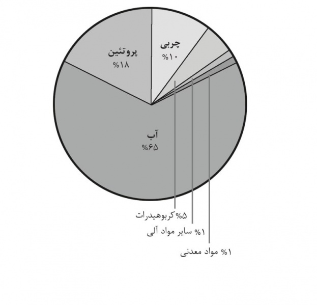 پرونده:12149600-1.jpg