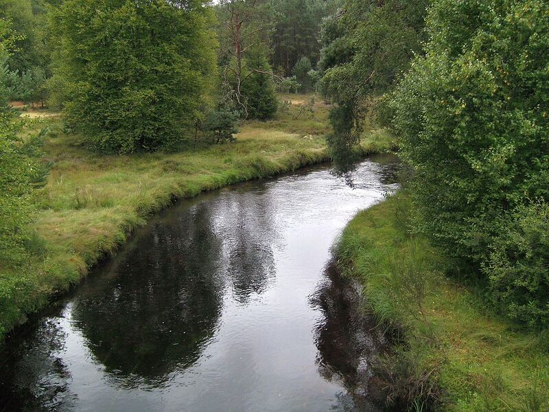پرونده:1280px-Vienne near Peyrelevade 02.jpg