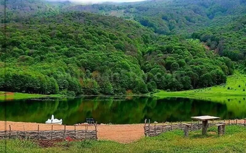 پرونده:12236500.jpg
