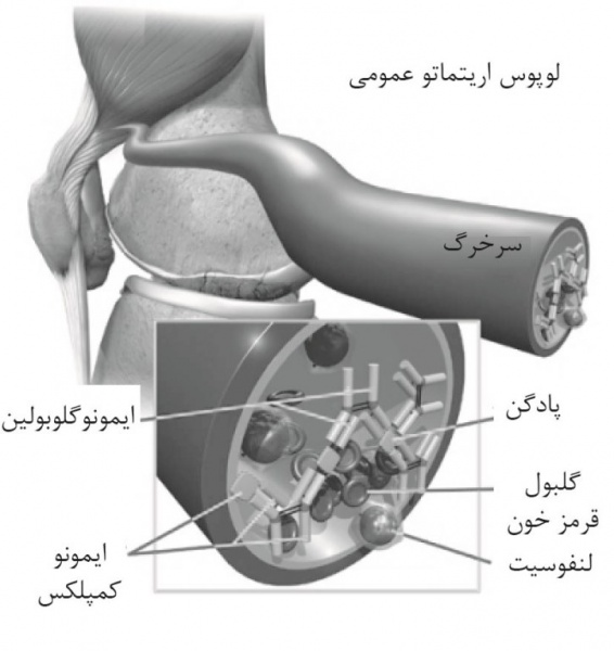 پرونده:37093700.jpg