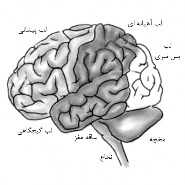 پرونده:38346300.jpg