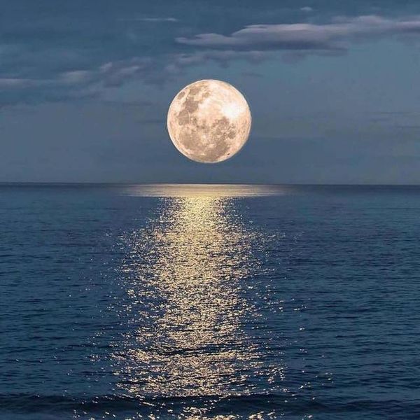 پرونده:Photo ۲۰۱۹-۰۵-۱۷ ۱۴-۰۶-۲۴.jpg