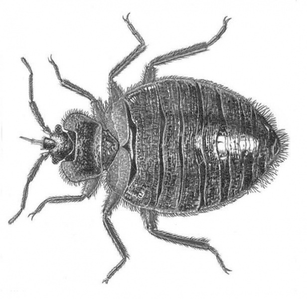 پرونده:25026500.jpg