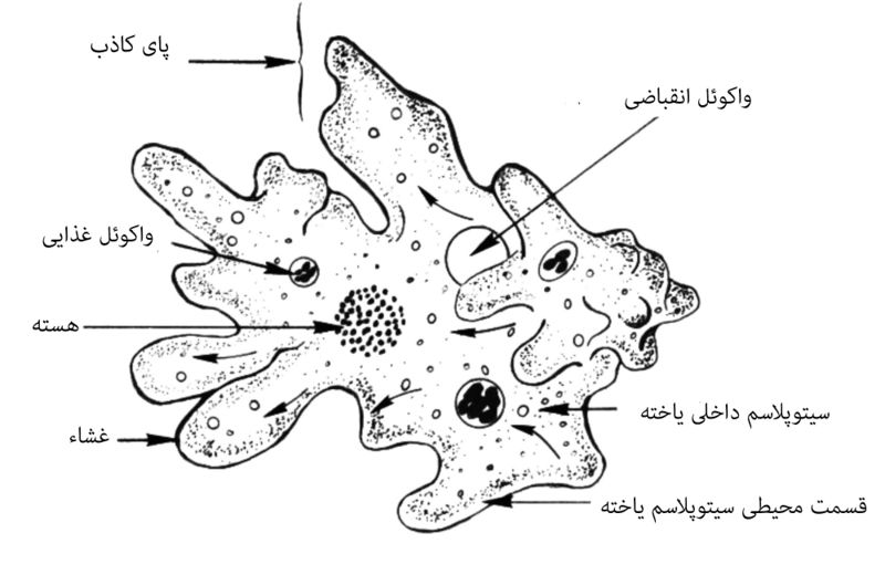 پرونده:10227900-p2.jpg