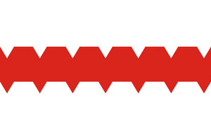 Flag of Omsk.svg.png