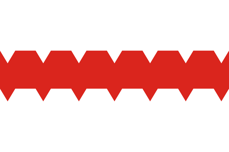 پرونده:Flag of Omsk.svg.png