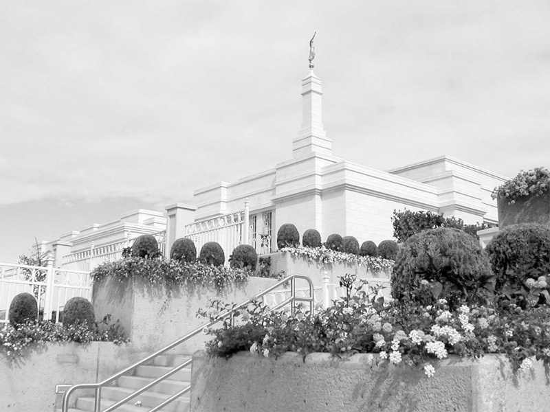 پرونده:14258900.jpg