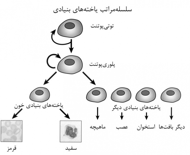 پرونده:42001300.jpg
