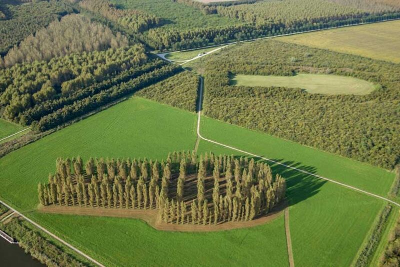 پرونده:Stadsbossen-almere-groene-kathedraal2.jpg