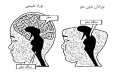 تصویر بندانگشتی از نسخهٔ مورخ ‏۲۱ مهٔ ۲۰۱۷، ساعت ۰۵:۴۶