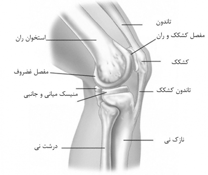 پرونده:35229300.jpg