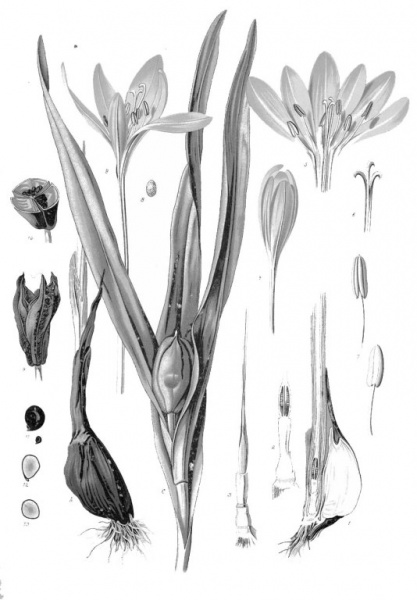 پرونده:25269500.jpg