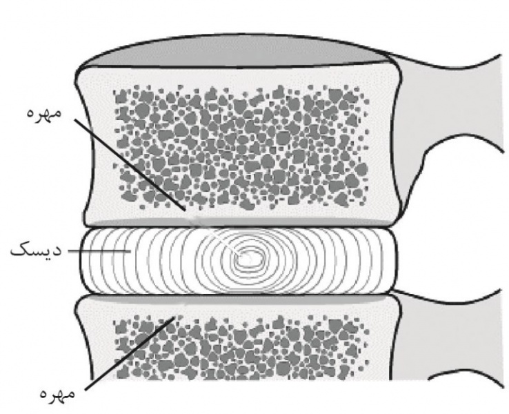 پرونده:20242800.jpg