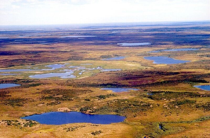 پرونده:Tundra in Siberia.jpg