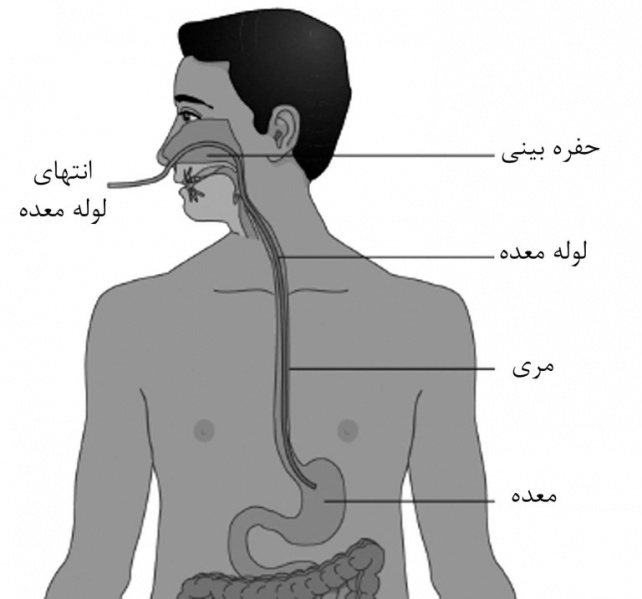 پرونده:37122600.jpg