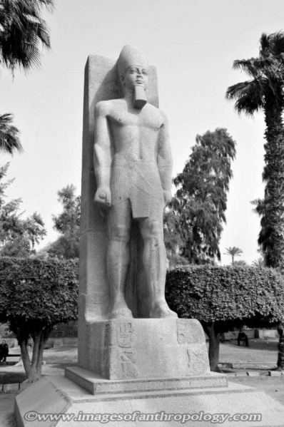 پرونده:38413900.jpg