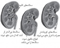 تصویر بندانگشتی از نسخهٔ مورخ ‏۲۱ مهٔ ۲۰۱۷، ساعت ۰۵:۴۶