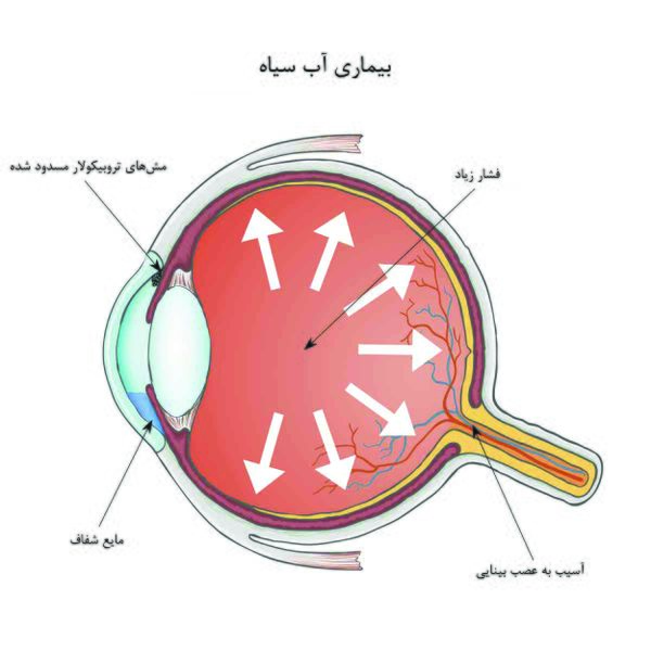 پرونده:10013300-1.jpg