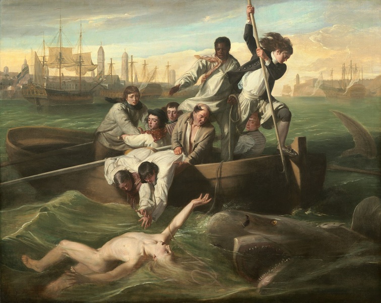 پرونده:Watson and the shark.jpg