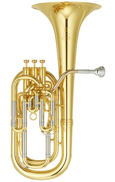 پرونده:Flicorno.jpg