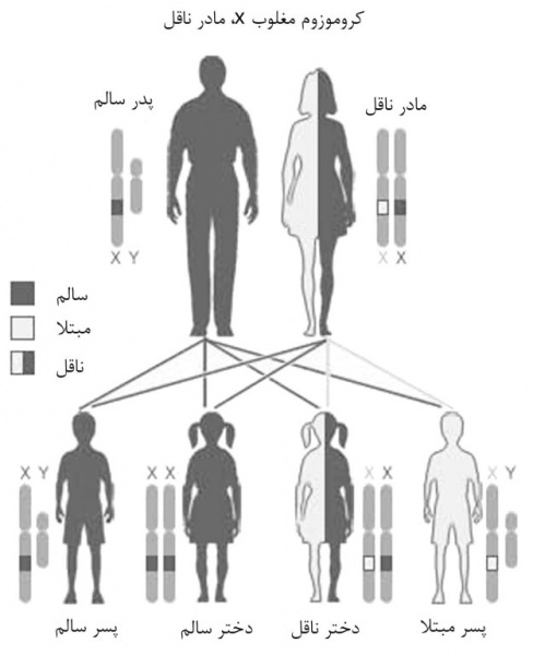 پرونده:39106600.jpg